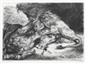 Eugène Delacroix, Lion devouring a horse (Delteil 126)