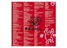 Keith Haring, Work
