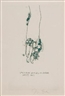 Jim Dine, The Picture of Dorian Gray