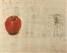 Jim Dine, The Tomato