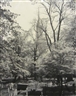 Ansel Adams, Old Granary Burying Ground, Boston
