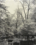 Old Granary Burying Ground, Boston