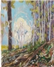 Hernan Bas, Saint appearing without witness's
