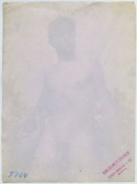 Guglielmo Plüschow Study of a Male Nude with a Mandolin MutualArt
