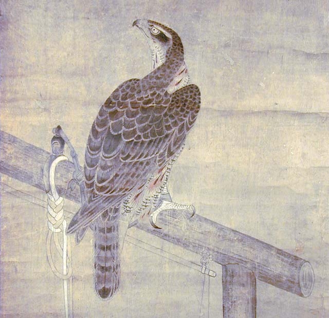 Anton Znaniecki ハヤブサ Falcon 絵画 Anton Znaniecki ハヤブサ Falcon 絵画 Anton Znaniecki ハヤブサ