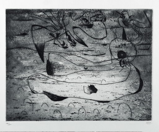 Joan Miró | L'Aigle la femme la nuit (D. 22) (1938) | MutualArt