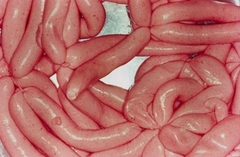 Martin Parr | „FOOD“, FROM THE SERIES „BRITISH FOOD“ (1995