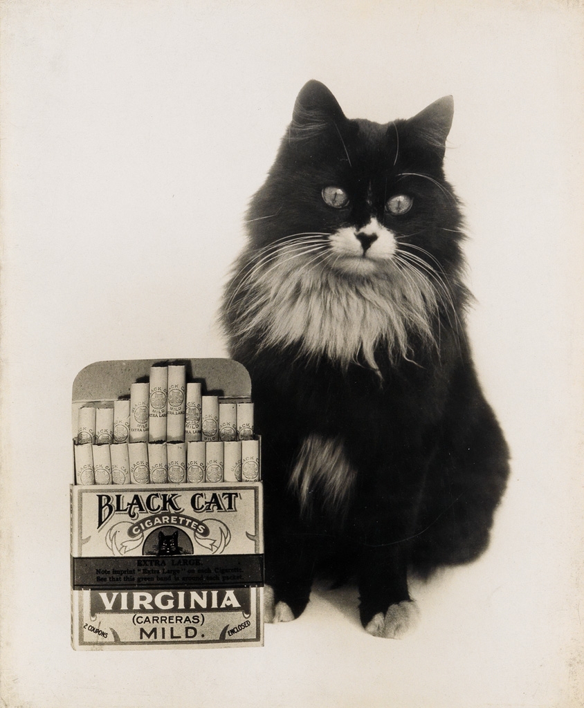 Charles Thompson | Black Cat with Black Cat Cigarettes (1930s)