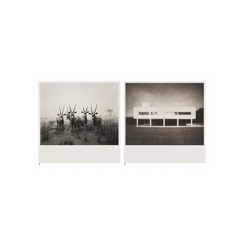 Hiroshi Sugimoto | Posters of End of Time, Gemsbok and Villa
