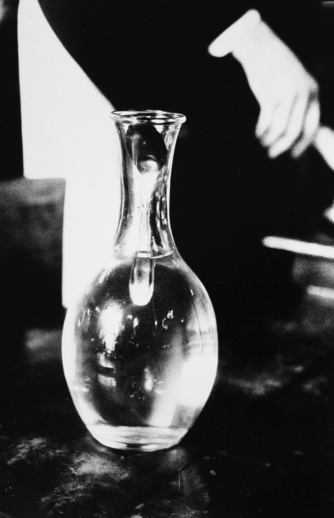 本 Tropism Photographs by Ralph Gibson