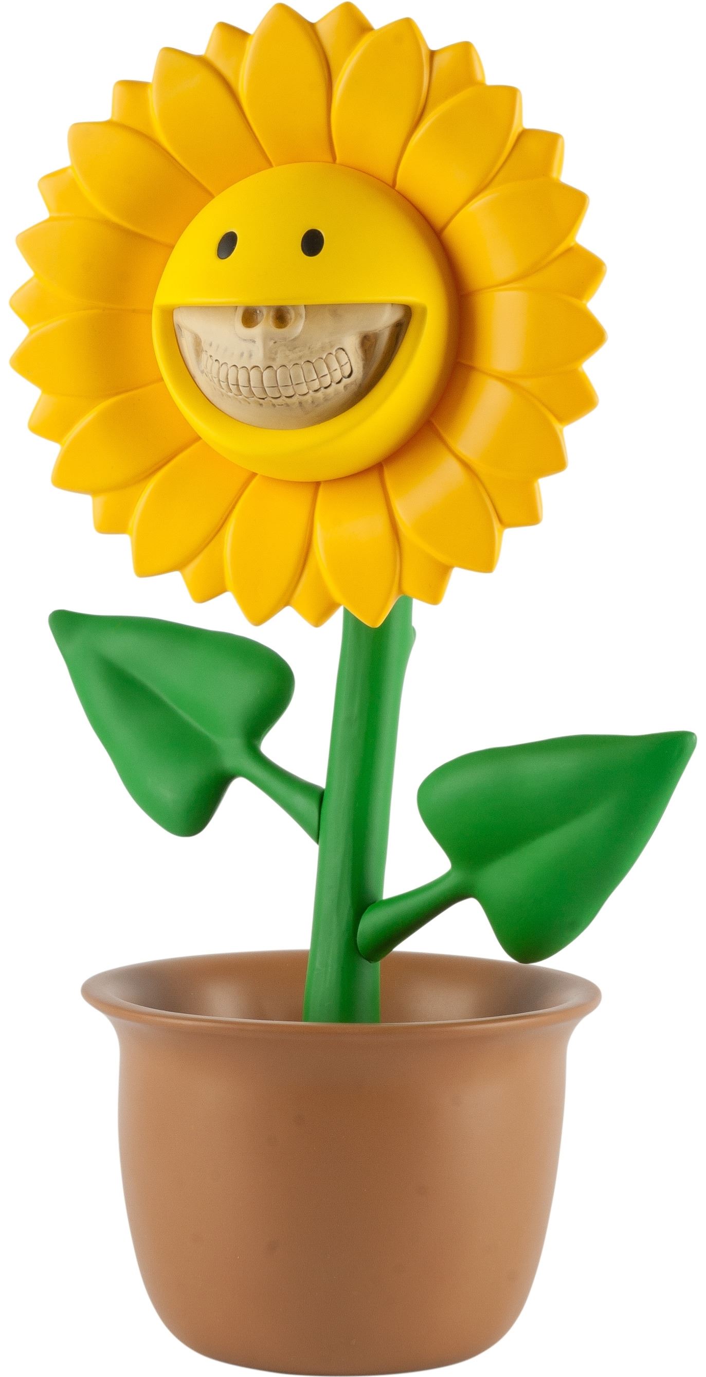 ロンイングリッシュサンフラワーチャーリーグリンRon ロン