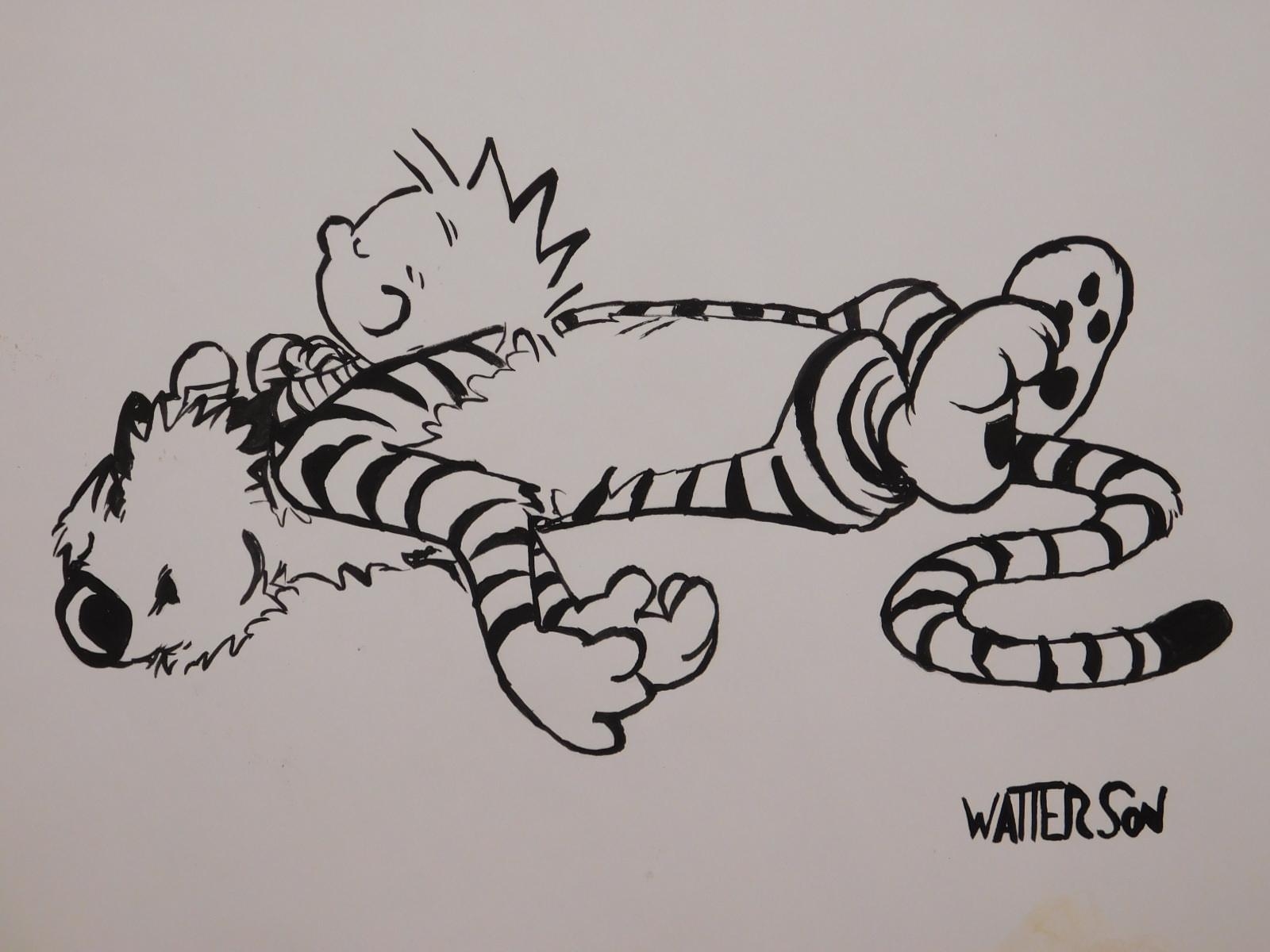 Calvin and hobbes sleeping