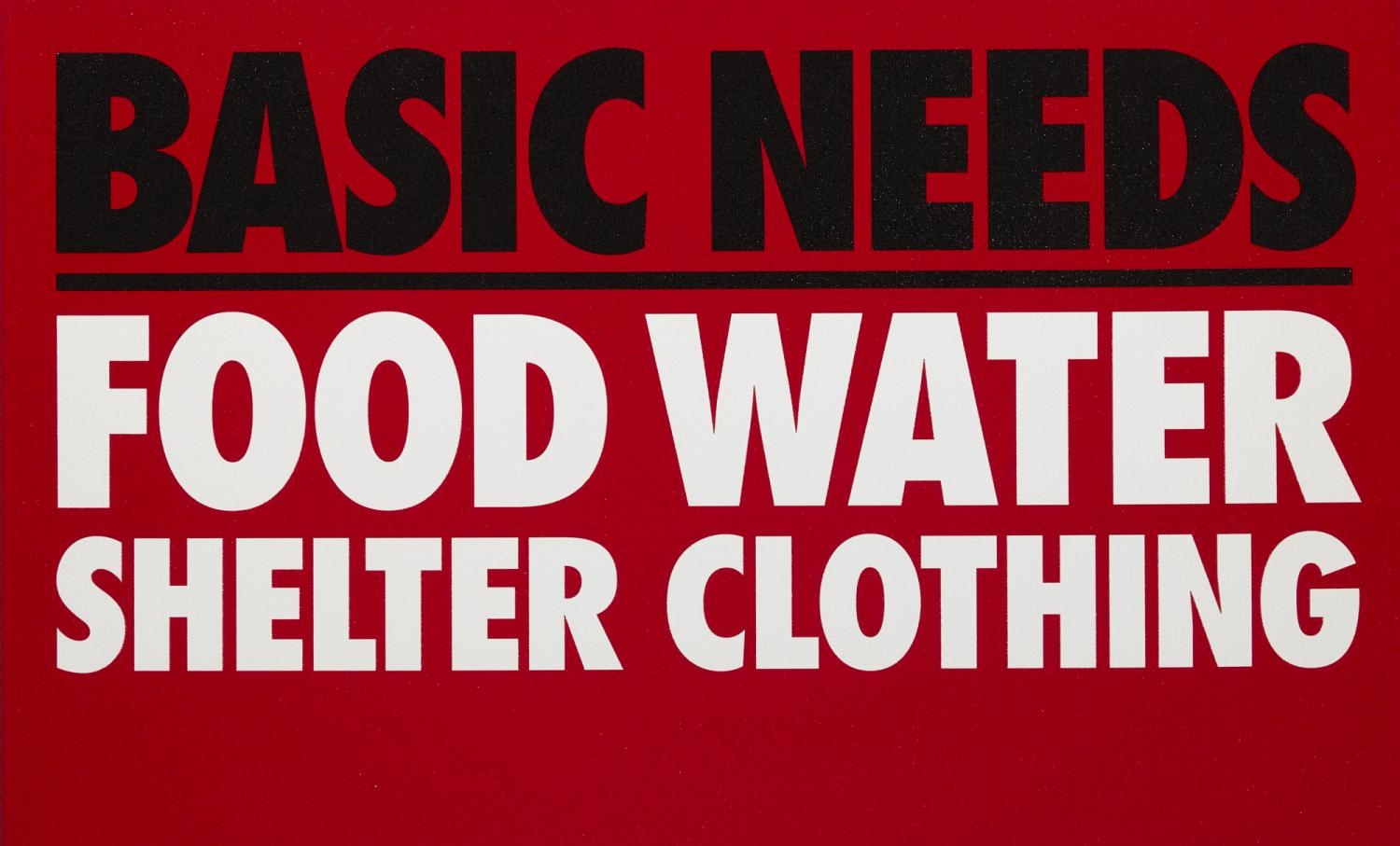 Basic Needs - Food - Water - Shelter - Clothing