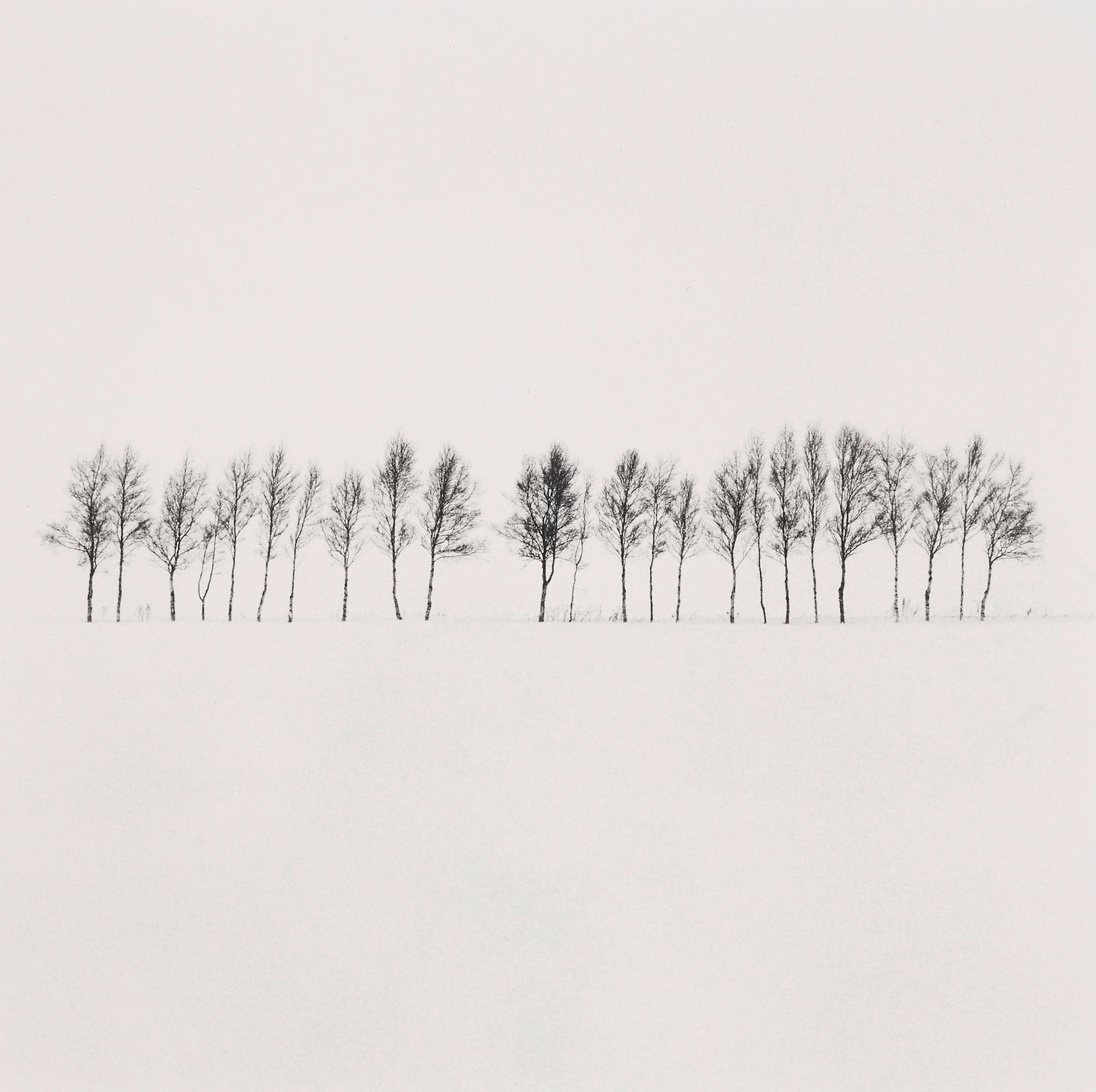 Michael Kenna | Twenty-four Trees, Abashiri, Hokkaido, Japan (2005