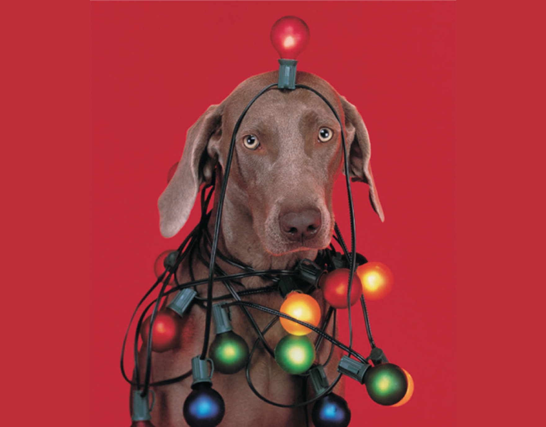 Arty Christmas Gift Guide From Art World Experts