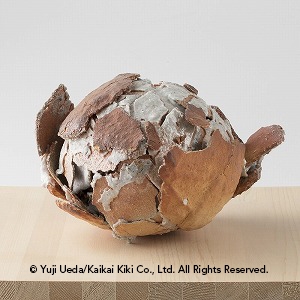 Yuji Ueda | Work | MutualArt
