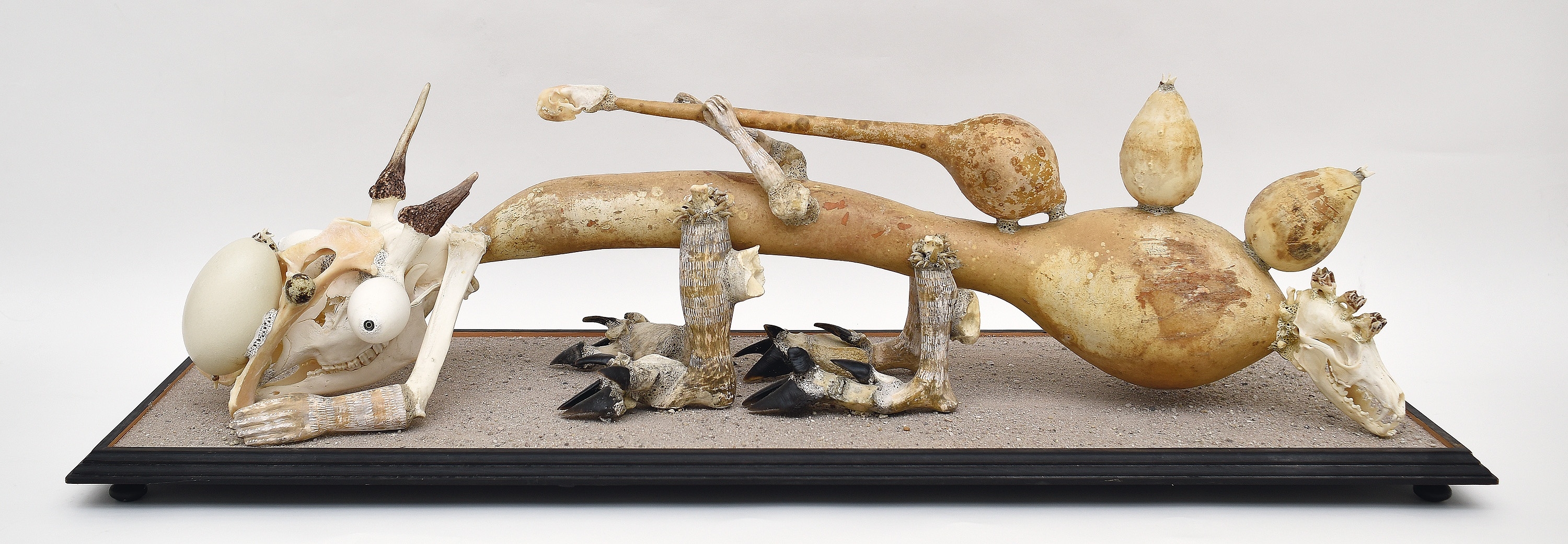 Jan Švankmajer Jan Švankmajer | Kalabatový sudokopytník (2018) | MutualArt