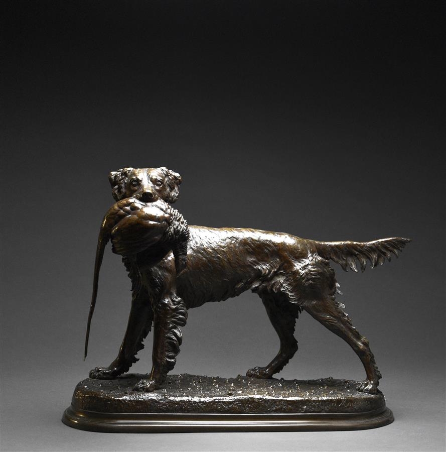 Jules Moigniez | Hunting dog holding a Bronze pheasant in his