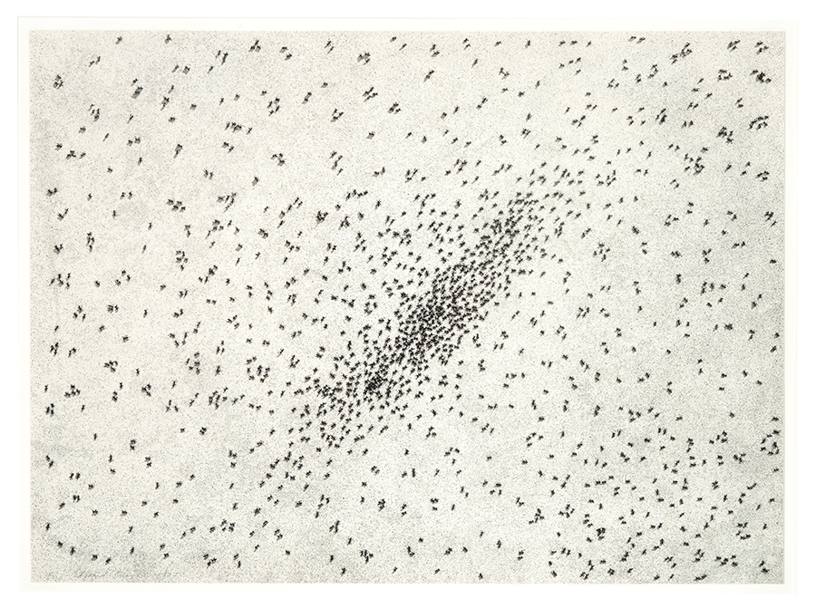 ed-ruscha-insect-slant-from-reality-and-paradoxes-portfolio-1973-mutualart