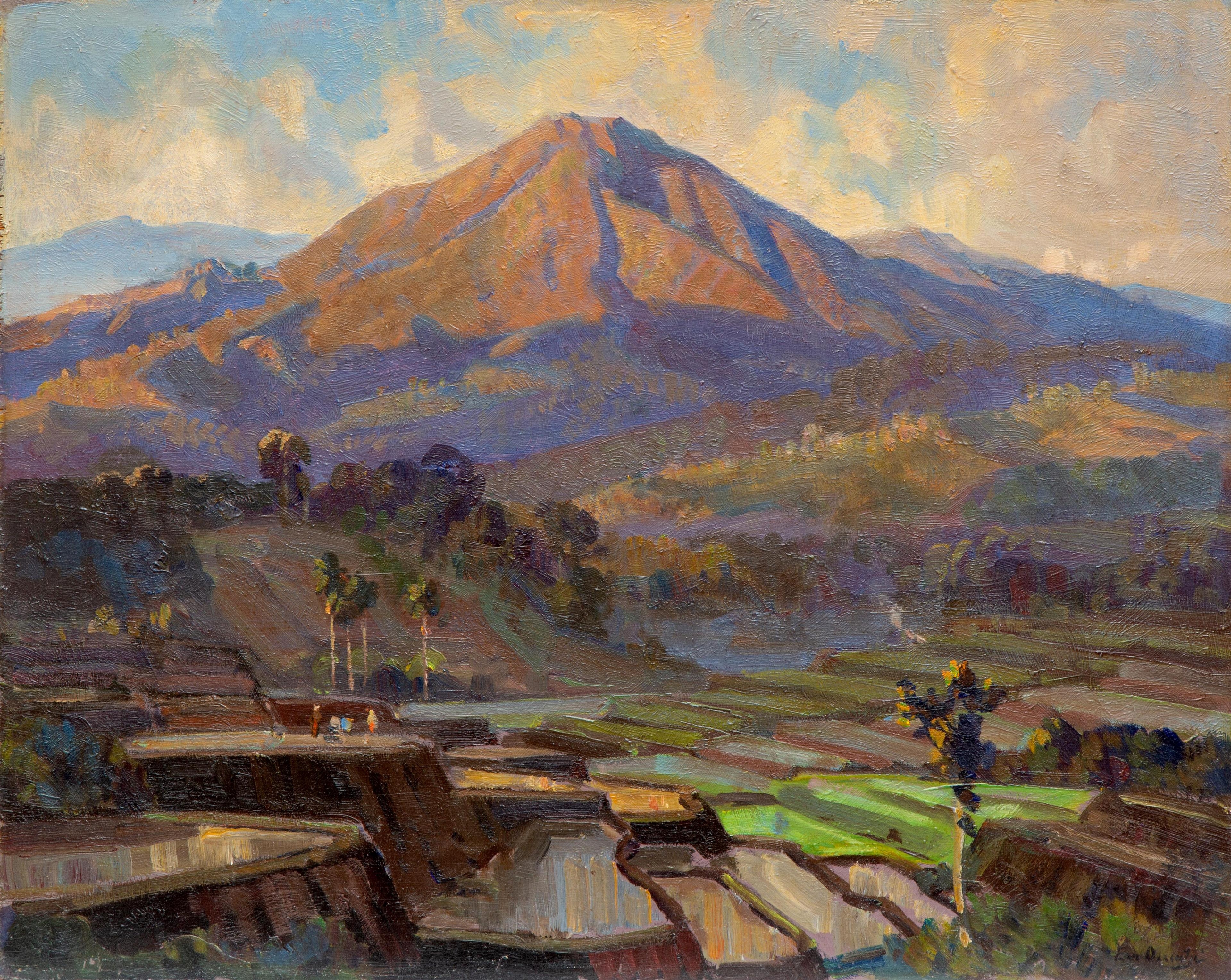 Ernest Dezentjé | An Indonesian landscape with terraced rice