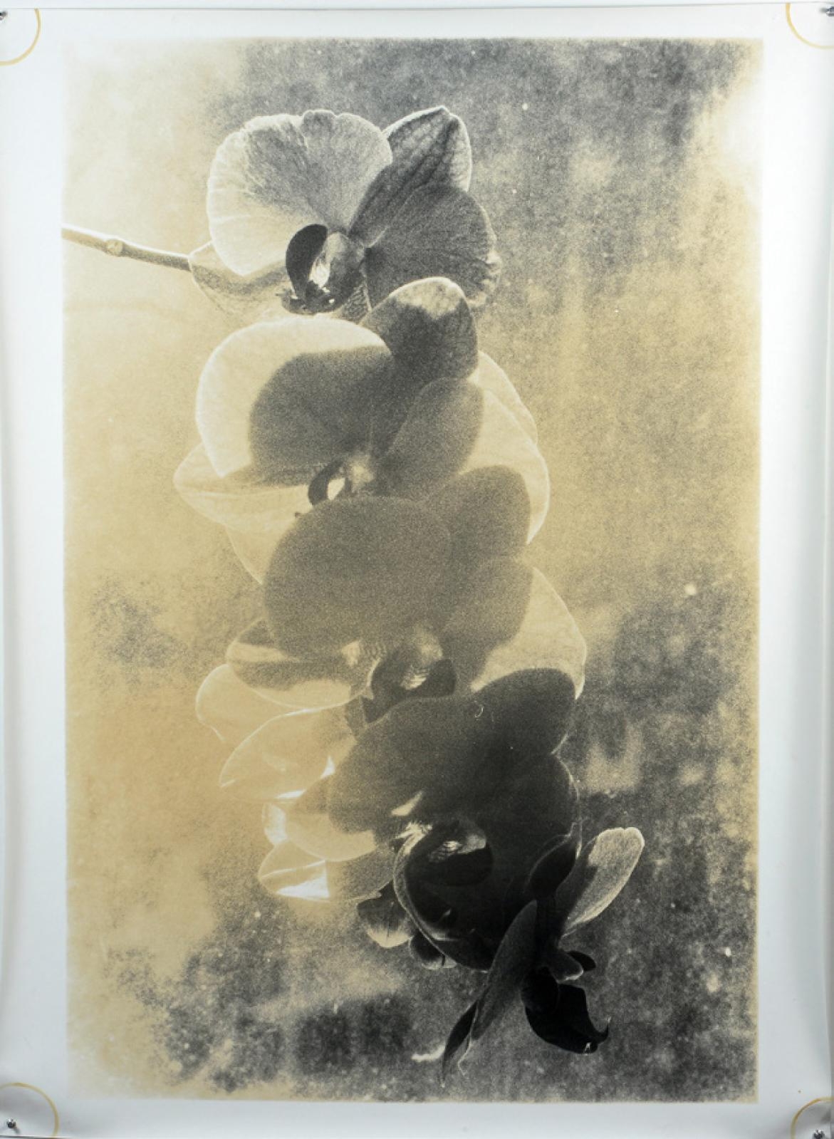 Jeff Cowen | Still life 2 (2010) | MutualArt