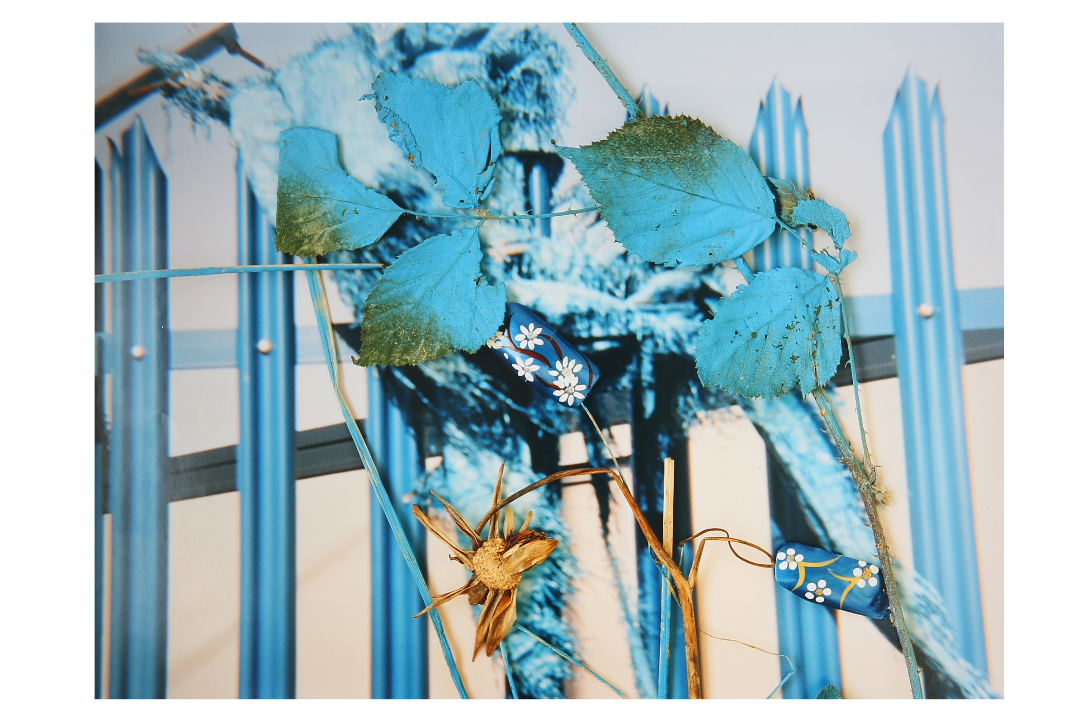 絵画 Stephen Gill Hackney Flowers Stephen Gill - Hackney Flowers - Printed Matter