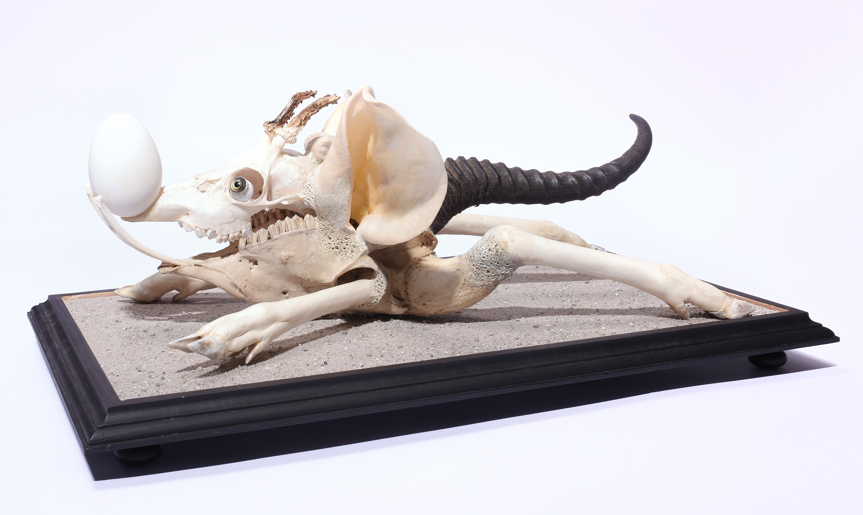 Jan Švankmajer | Ušatec (2022) | MutualArt