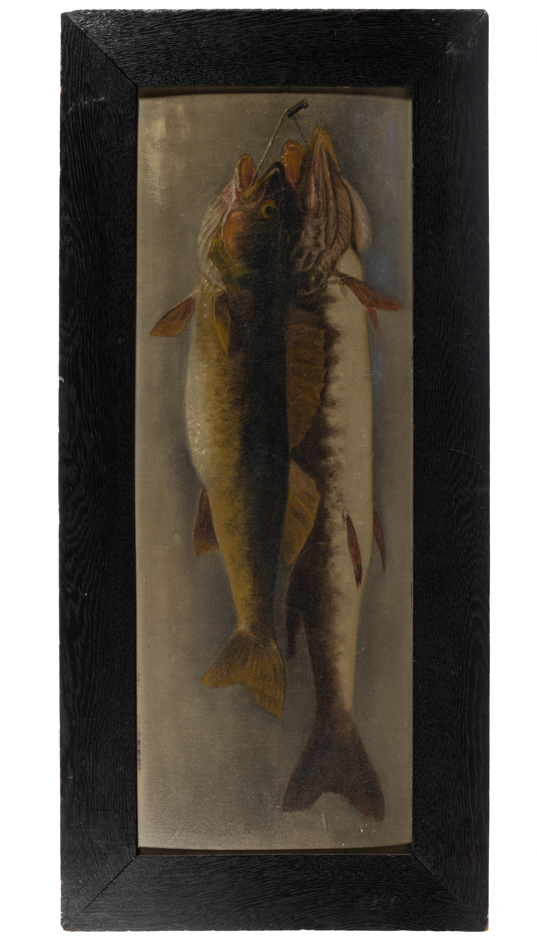 American School, 20th Century, FOLK ART STILL-LIFE OF FISH ON A STRINGER