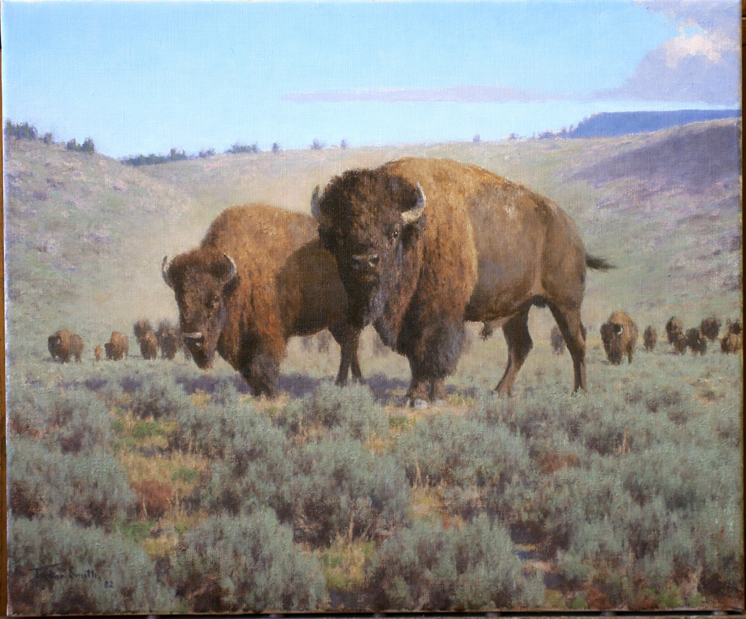 Tucker Smith | Wyoming Buffalo | MutualArt