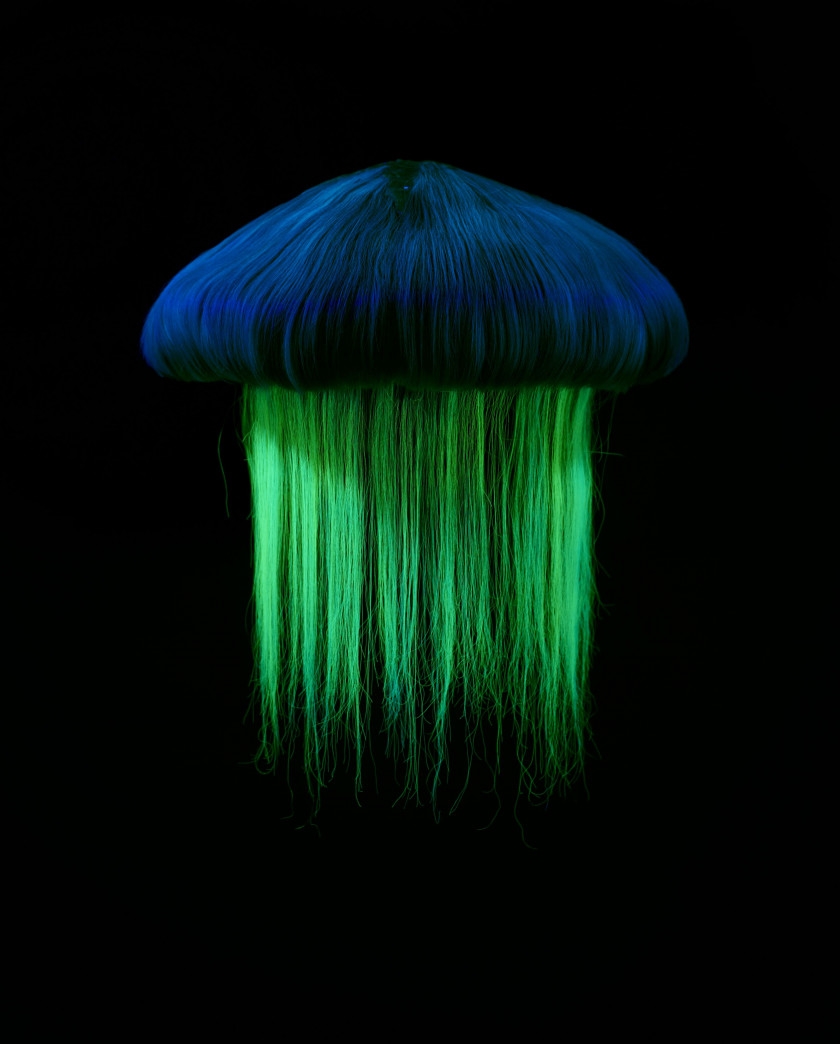 Charlie Le Mindu Charlie Le Mindu Fluorescent Species 16 Mutualart