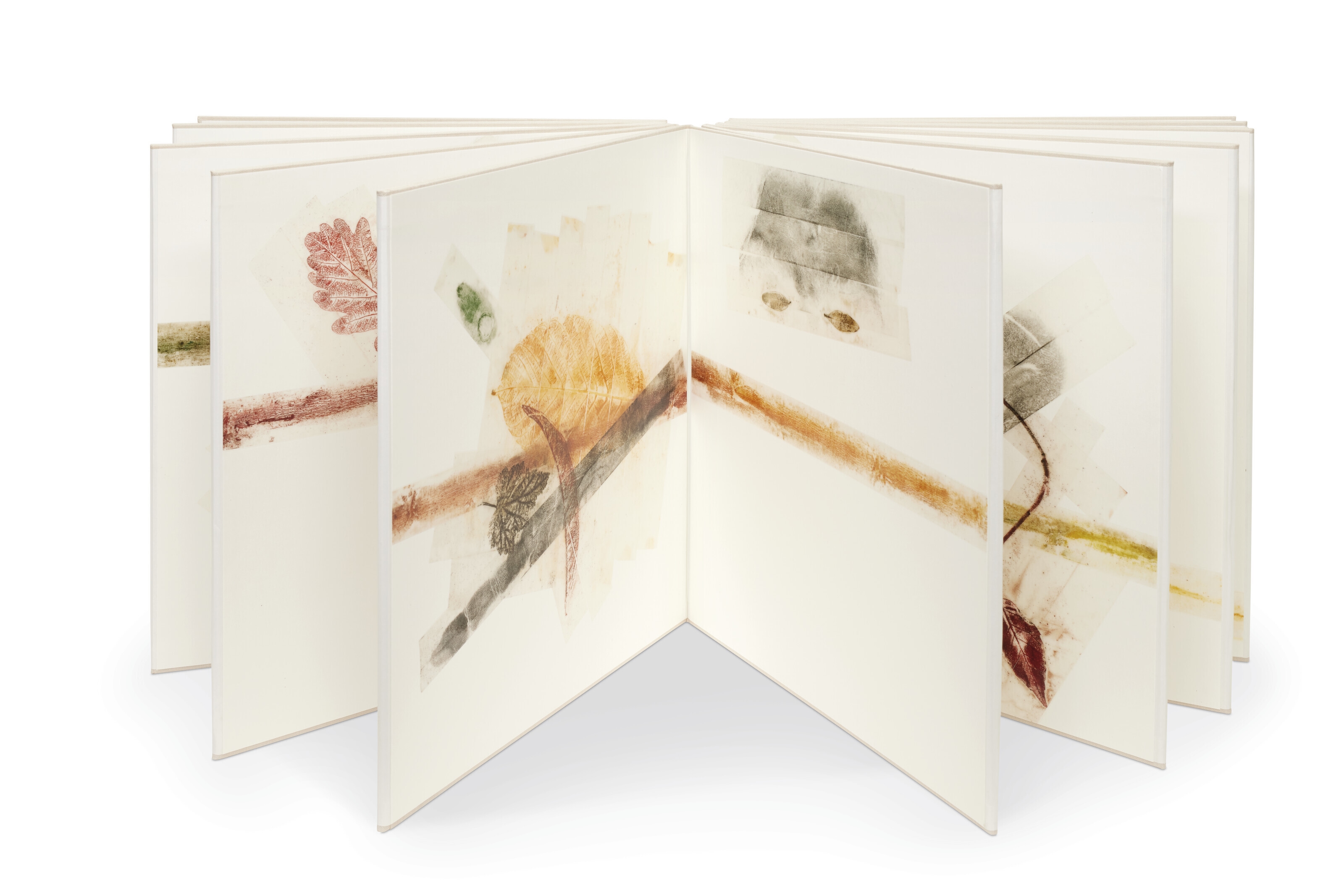 Giuseppe Penone Writings 1968-2008