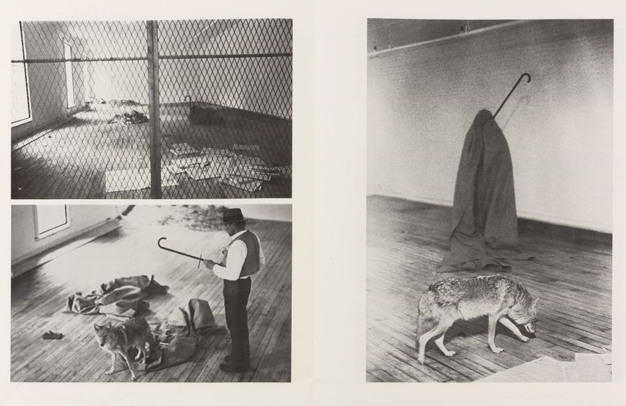 Joseph Beuys | Performance with a coyote (1975) | MutualArt