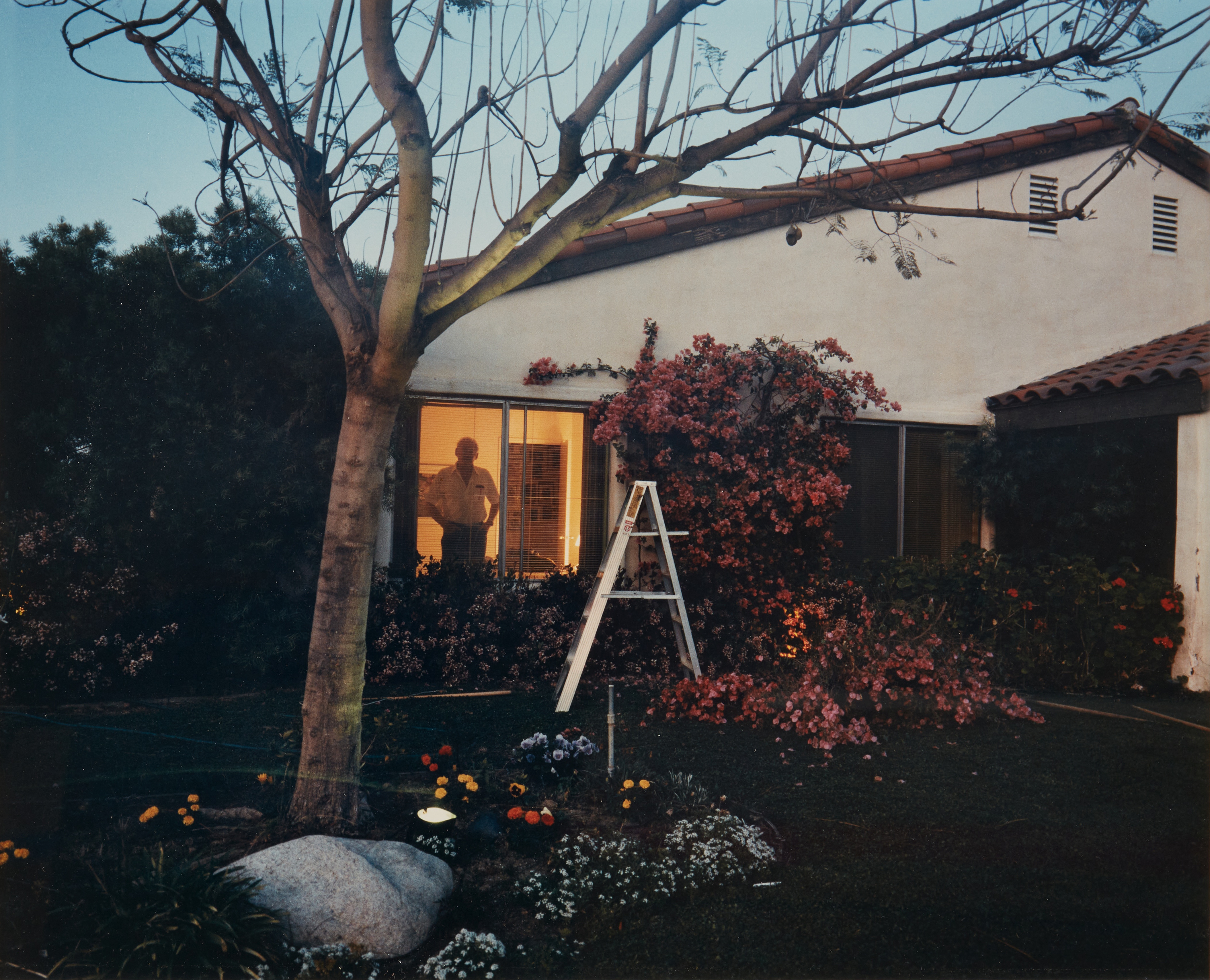 Larry Sultan | Selected Images (from Pictures from Home) (1984