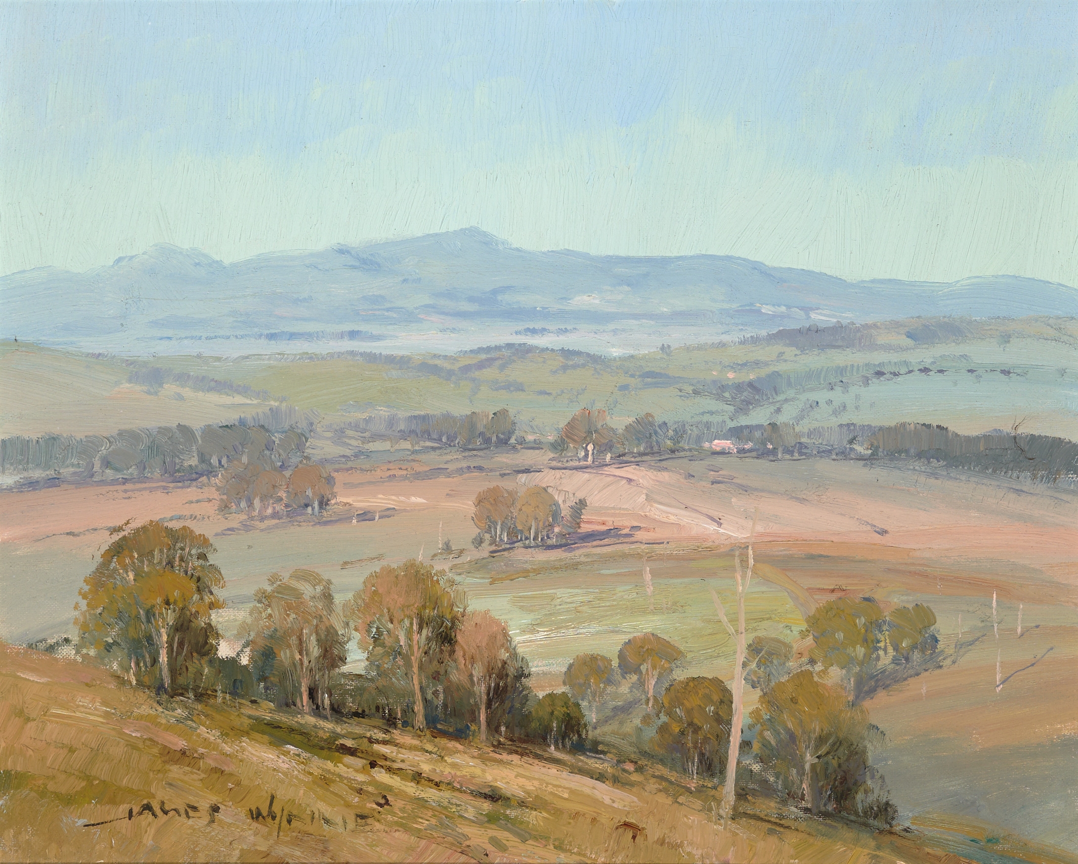 James Wynne | Central West | MutualArt