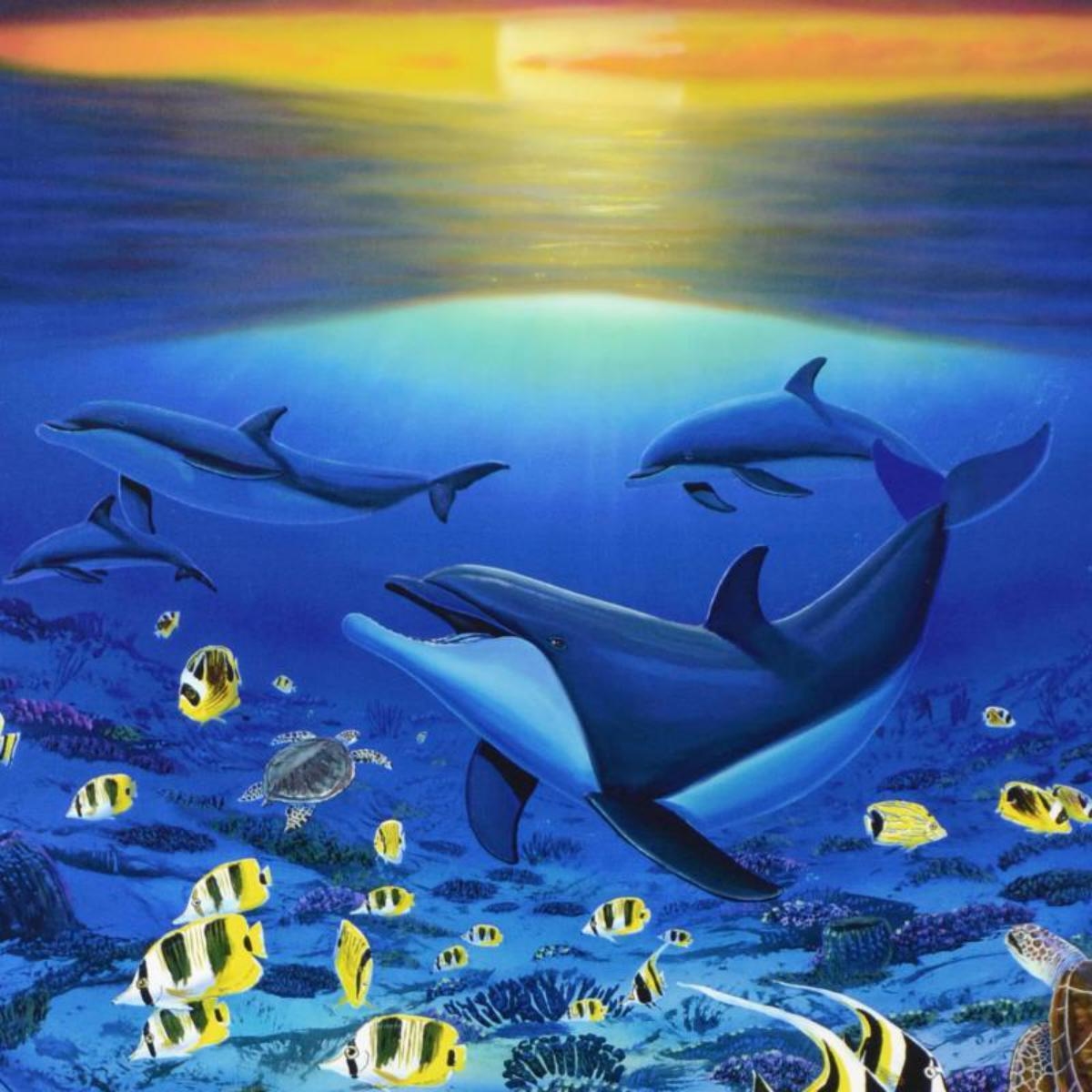 Wyland Artist of the Sea ワイランド Robert Wyland | Sea of Life