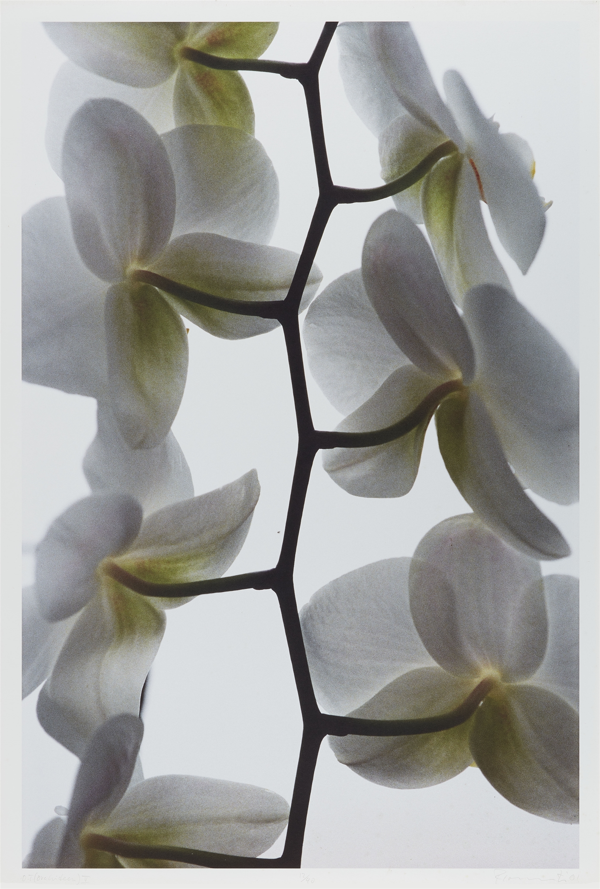 Thomas Florschuetz | Proof 12/40. (2001) | MutualArt