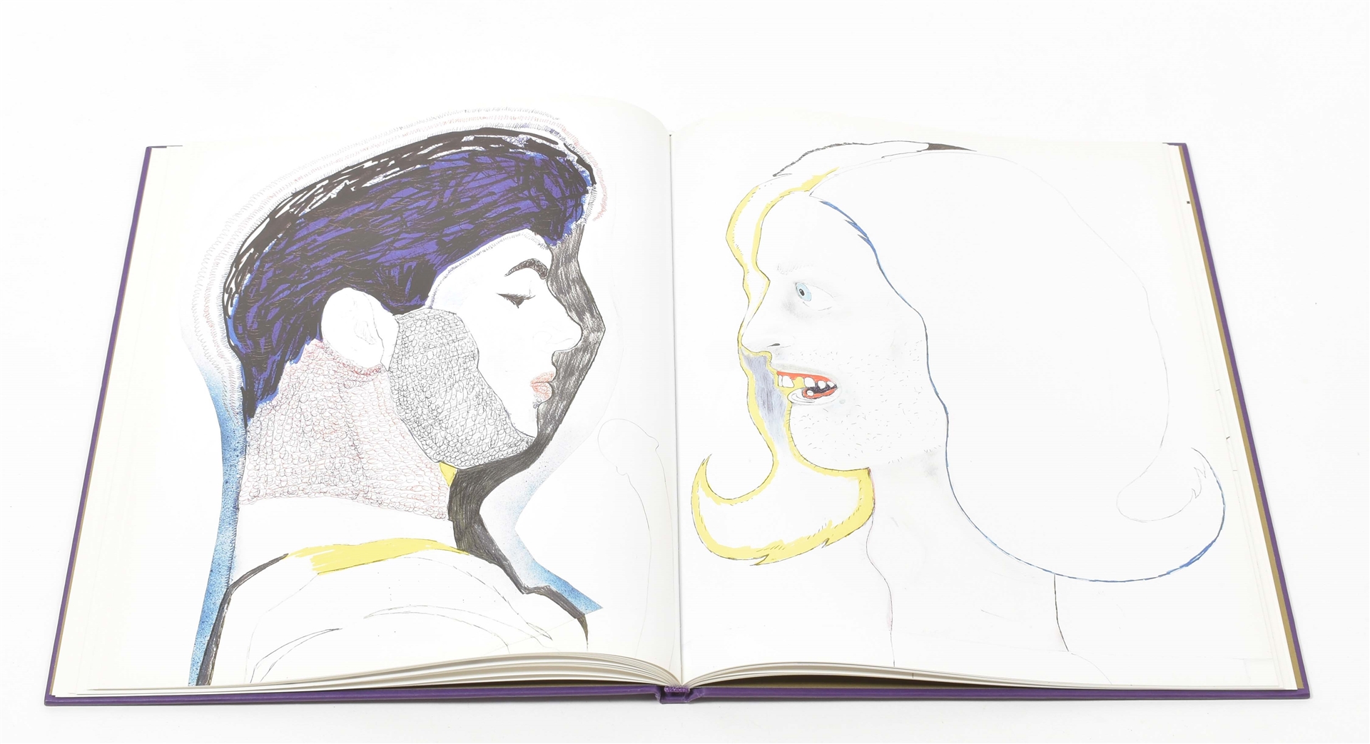 洋書 Mike Kelley Hermaphrodite Drawings Mike Kelley | Mike Kelley, Hermaphrodite drawings (2007) | MutualArt