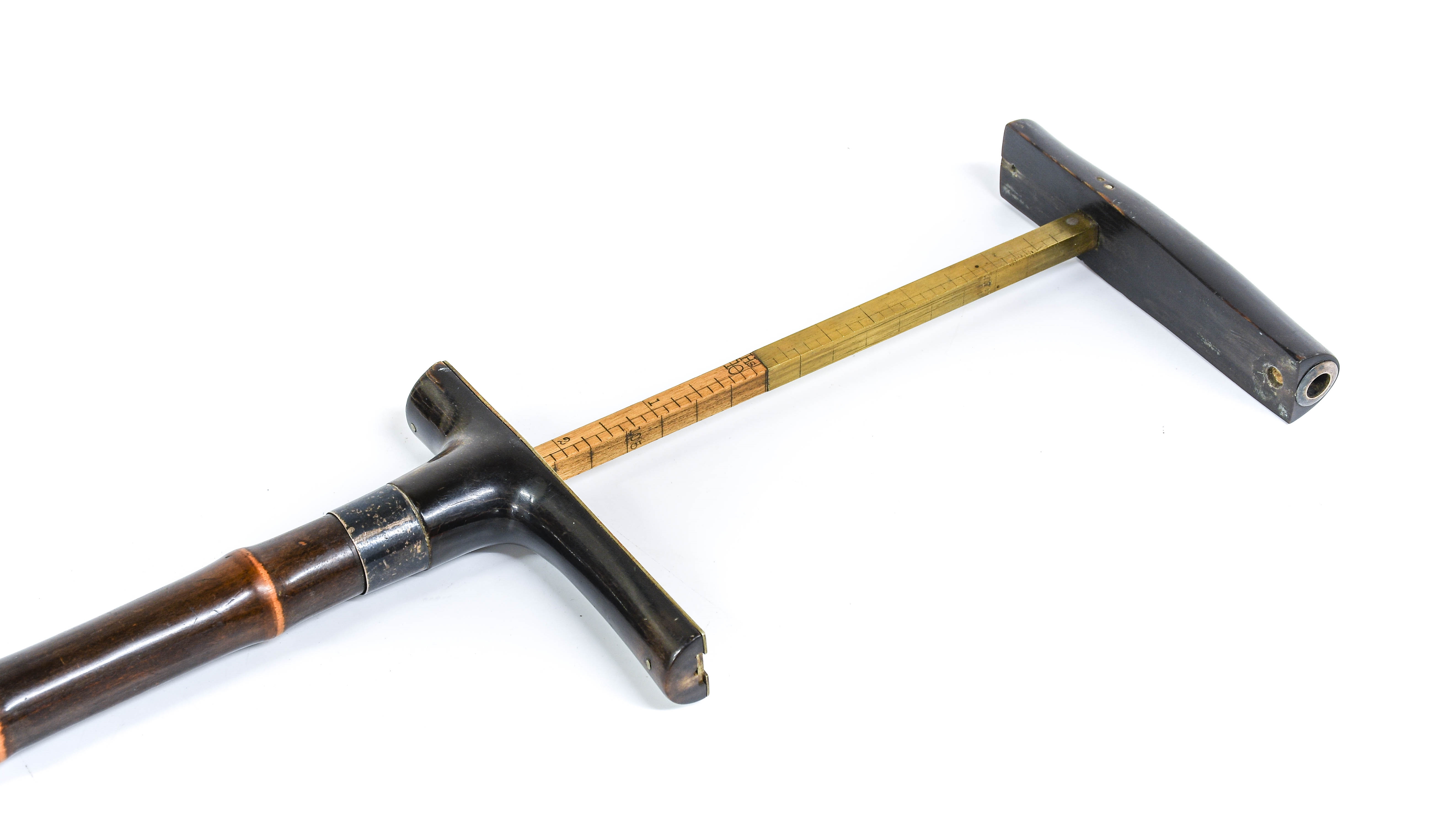 Rowland Ward, Rowland Ward (1848-1912): A Horse Measuring Stick