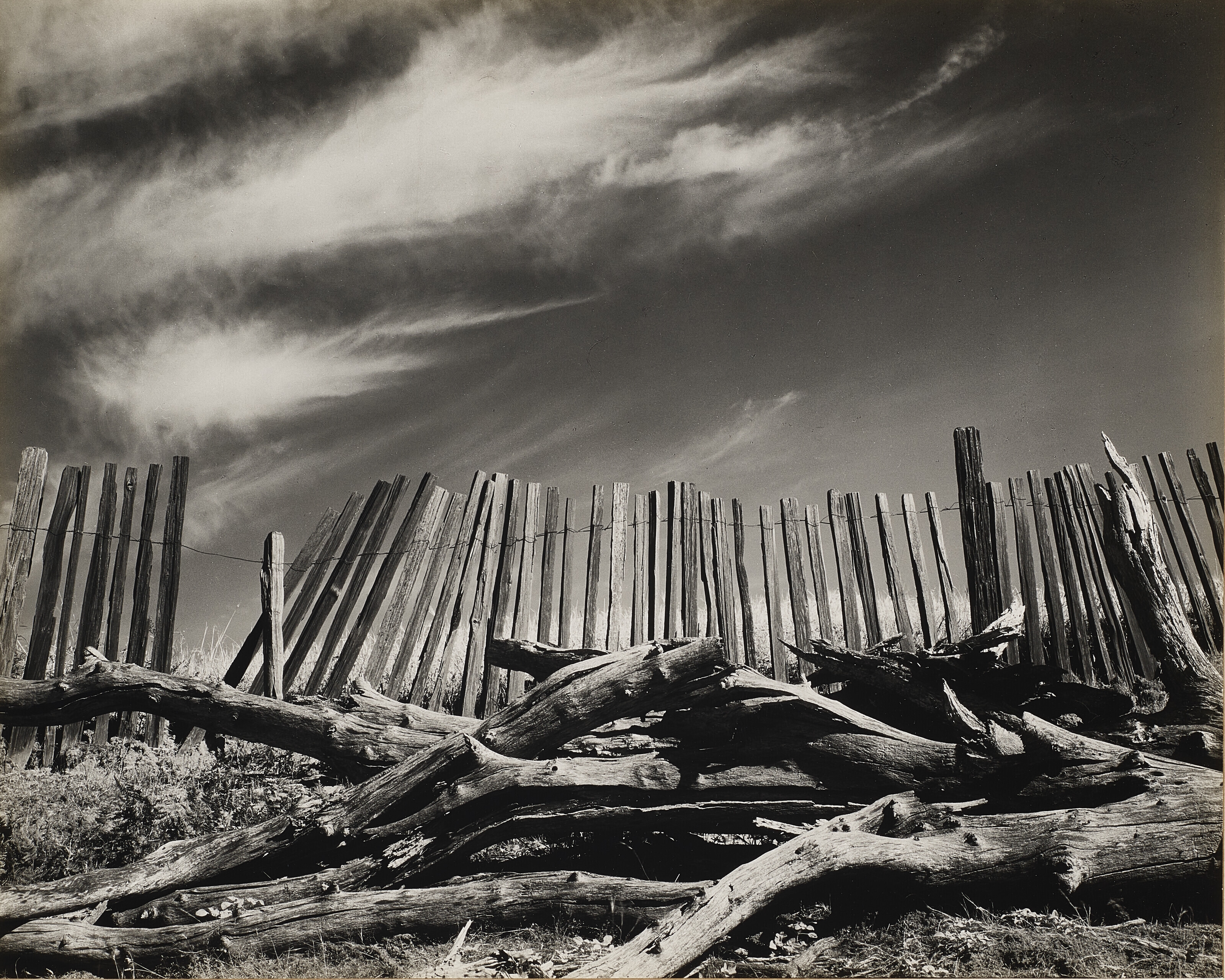Edward Weston | Las Lomas Rancho (1937) | MutualArt