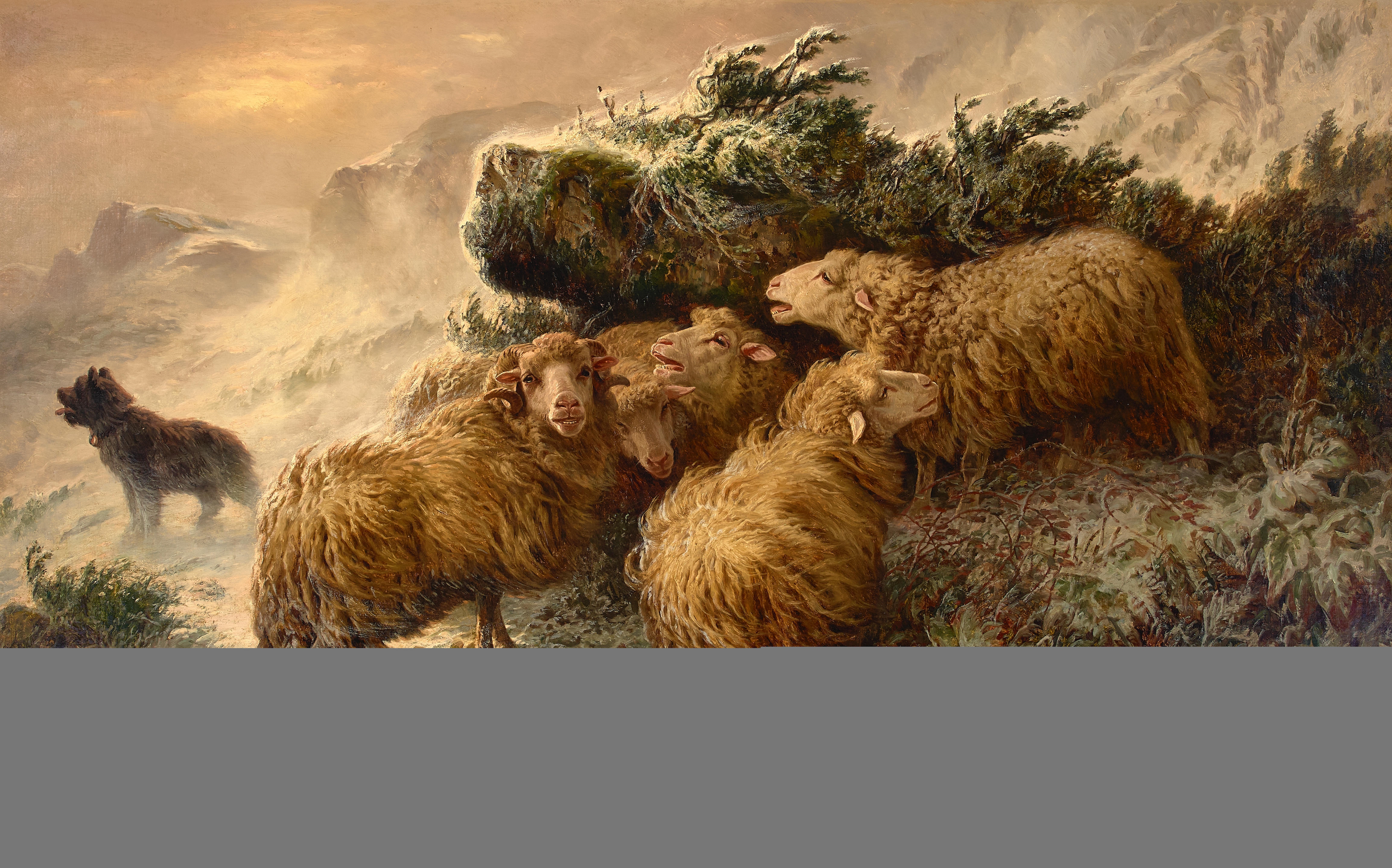 【Alec Soth：Sheep】800部限定　★新品・未読品・美本 Sheep's Clothing by Celia Dale & Chelsea G. Summers | Hachette