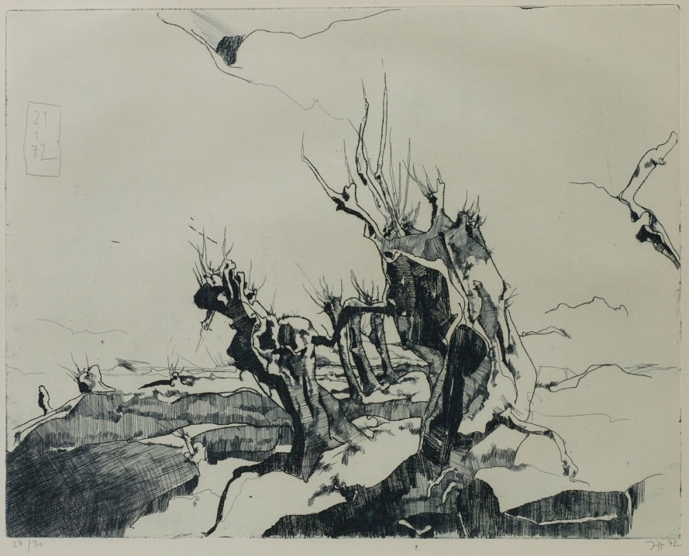 Horst Janssen | Landschaft (aus: 7 Radierungen, Folge 2) | MutualArt