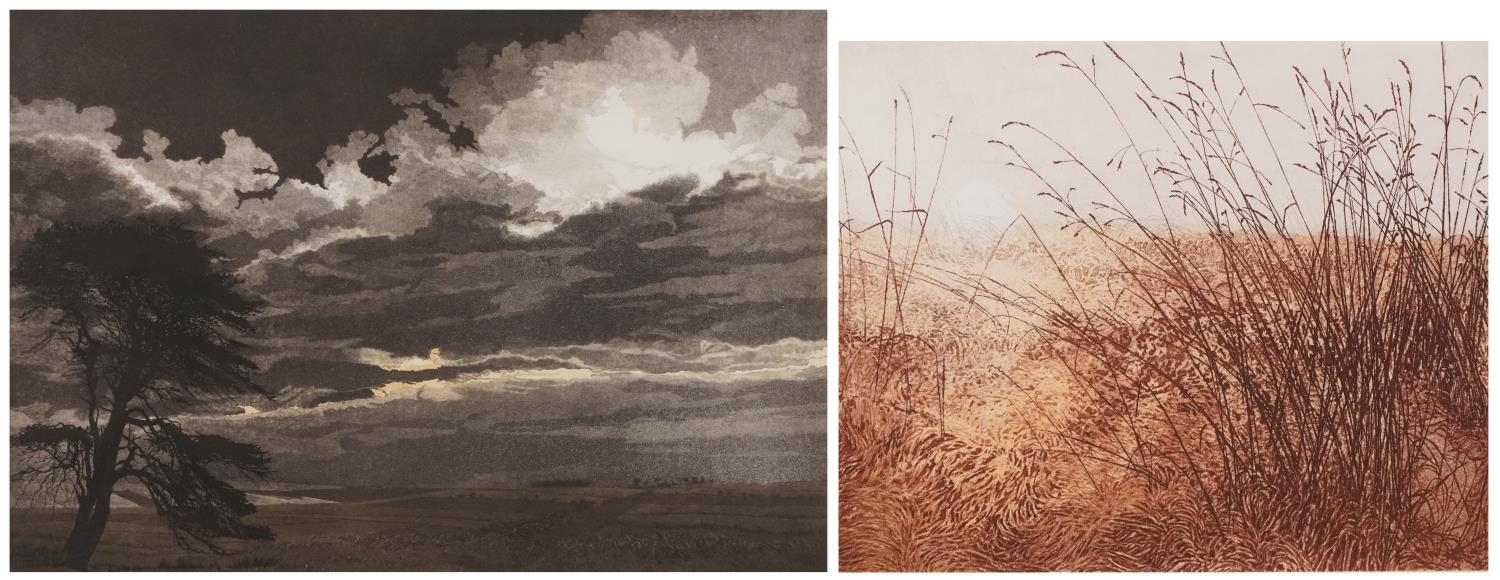 Phil Greenwood | Phil Greenwood - White Sun and Border Country
