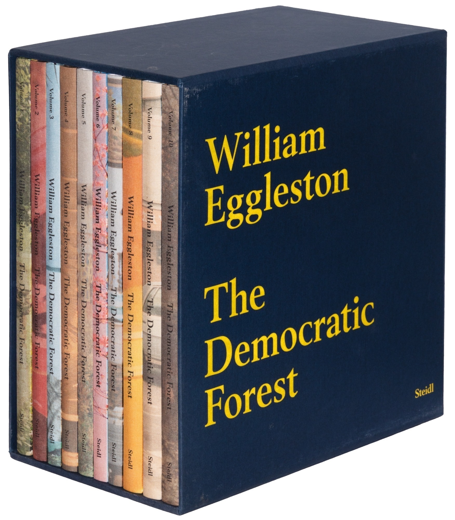 William Eggleston（The Democratic Forest） The Democratic Forest: William Eggleston, Eudora Welty