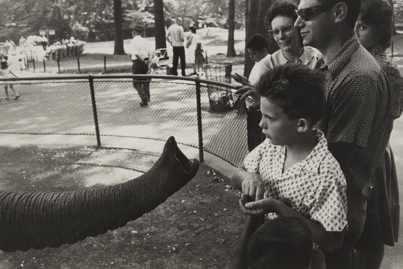 Garry Winogrand | Garry Winogrand (American, 1928-1984) Bronx Zoo
