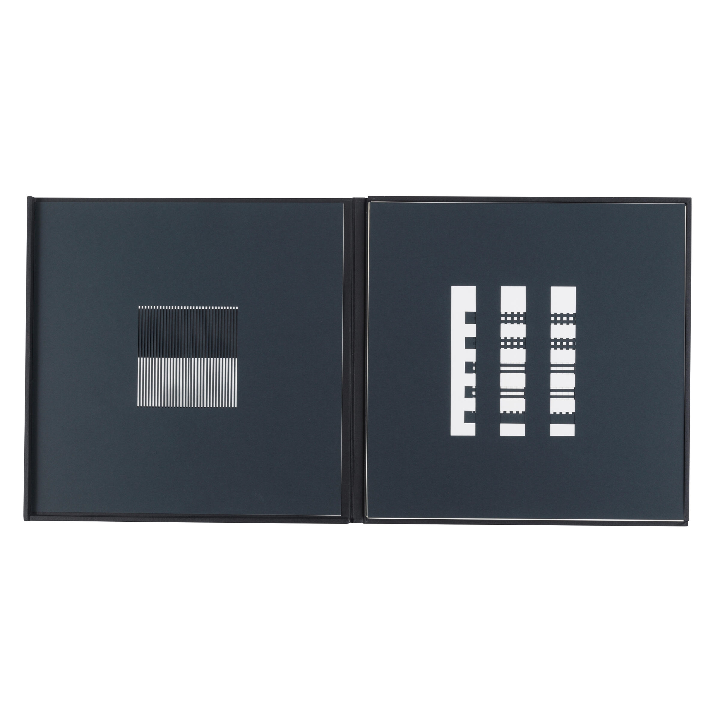 洋書 Dieter Roth in America 洋書 Dieter Roth in America Diether Roth in America | Dirk Dobke