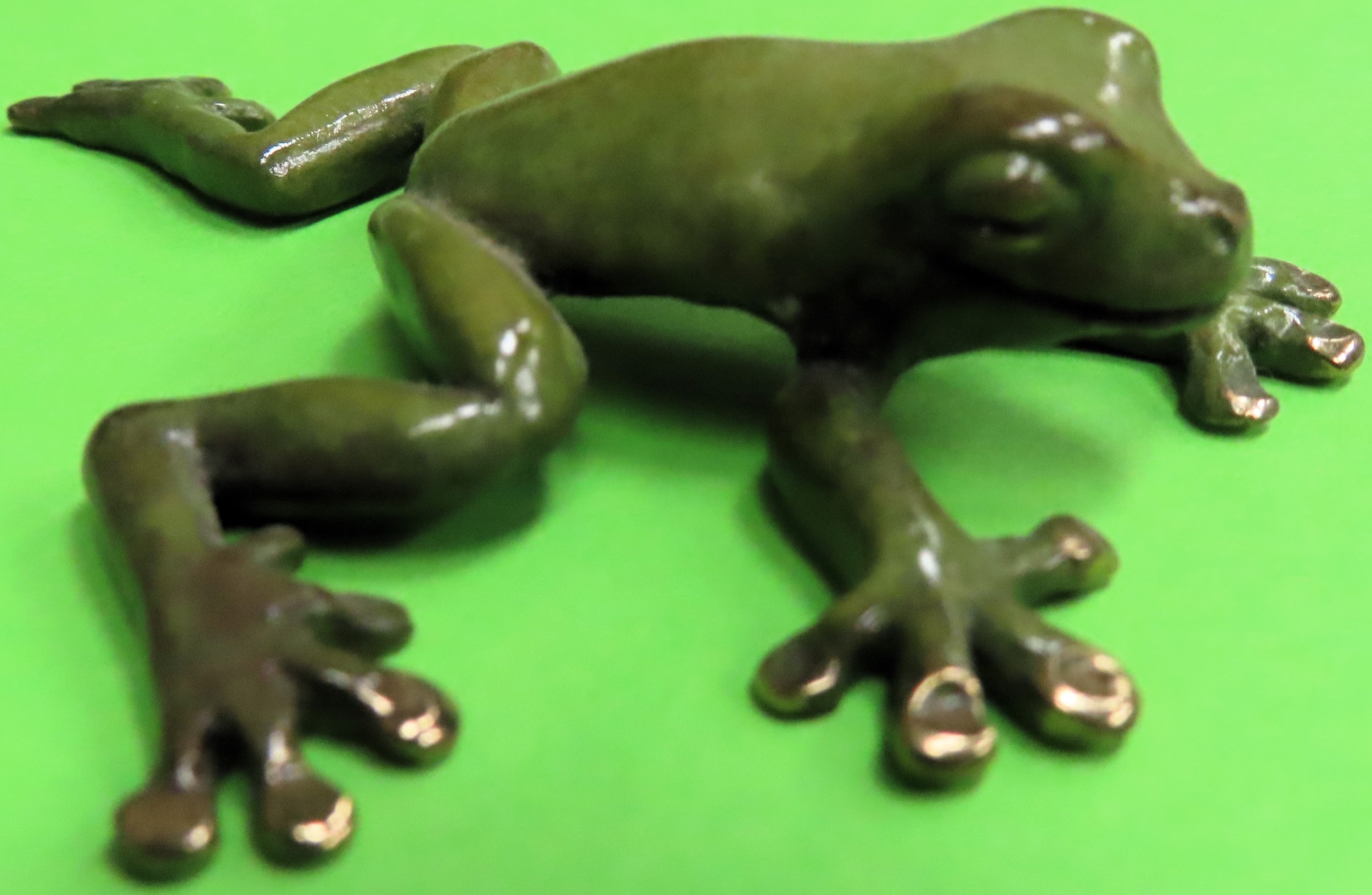 Pete Smit | Pete Smit - Cold painted bronze figure of a frog