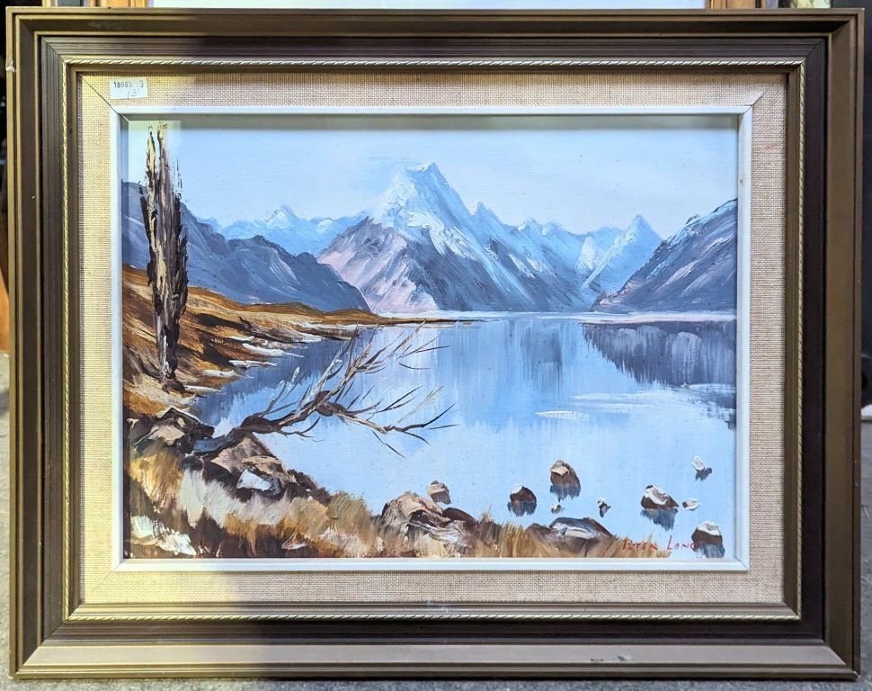 Peter Long | Lake Pukaki, Mt Cook | MutualArt