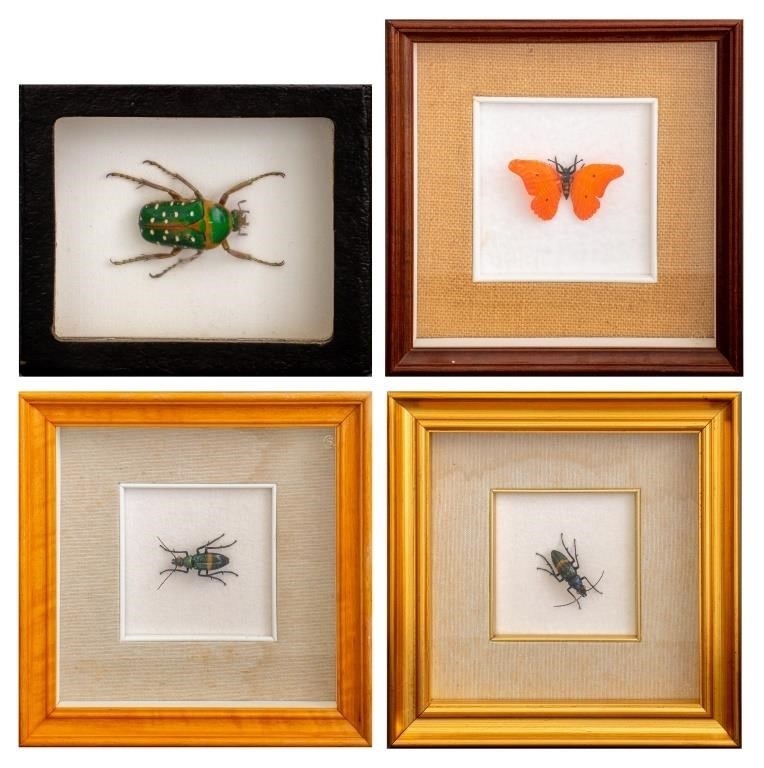 Vittorio Costantini | Vittorio Costantini Art Glass Insect Models
