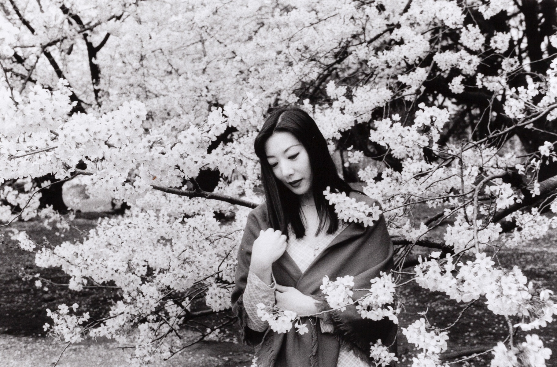 Nobuyoshi Araki | NOBUYOSHI ARAKI (*1940) | Untitled, #35