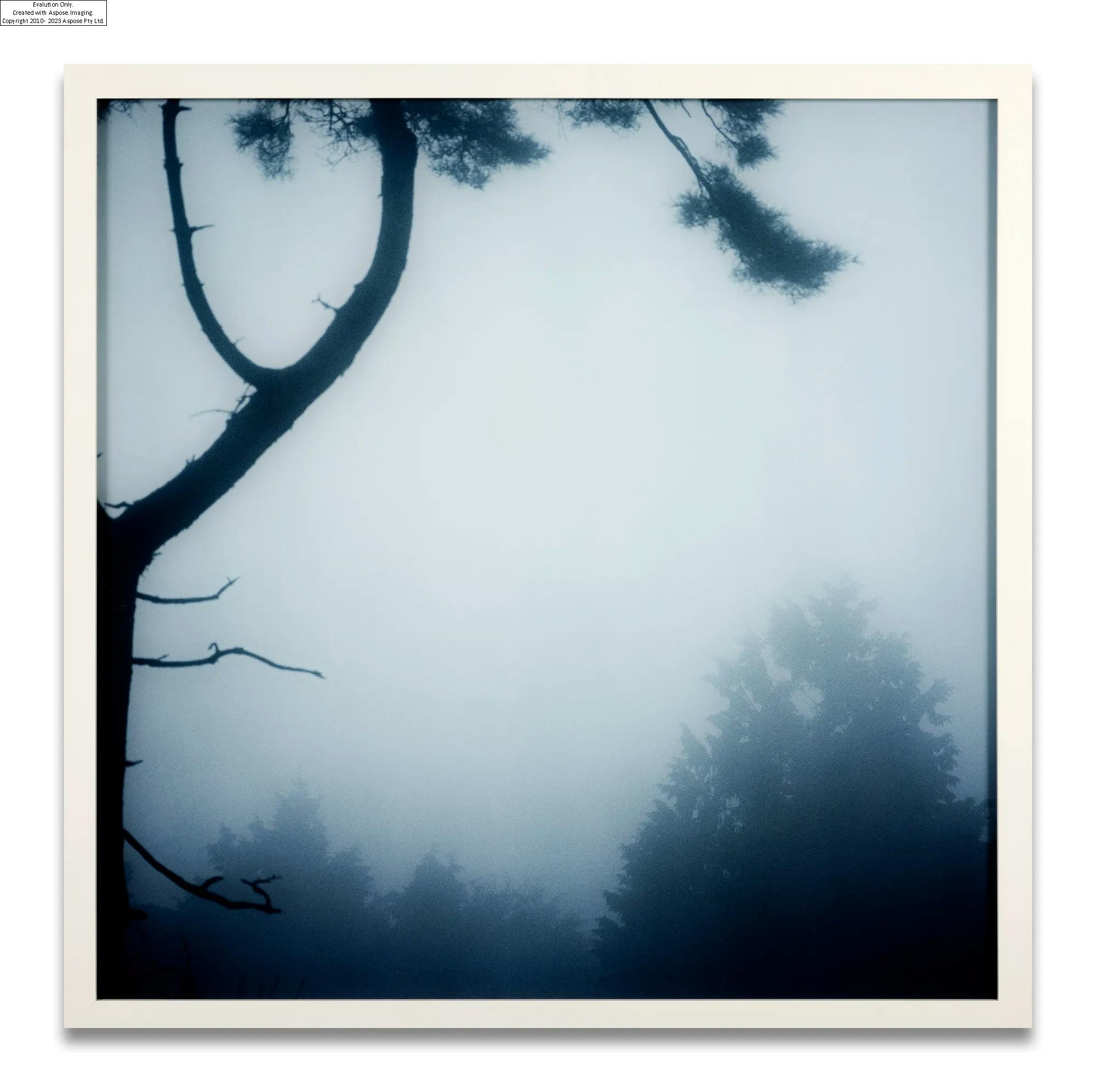 The Civil Drawings Darren Almond写真集 Darren Almond - Art &amp